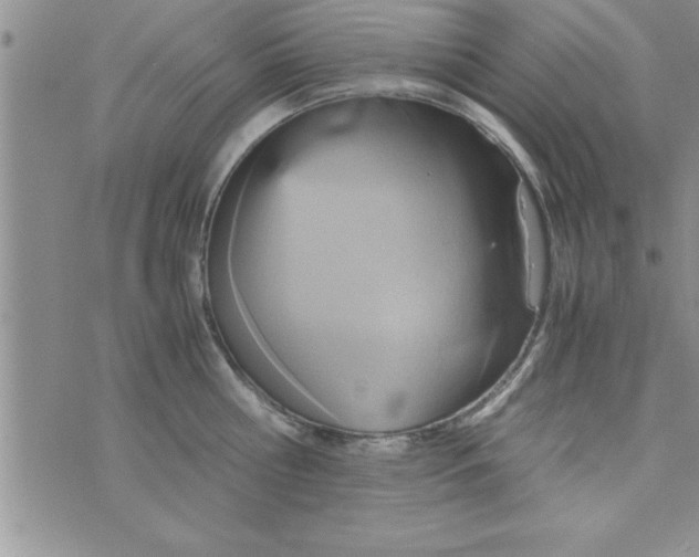 X0000075890810200610062051