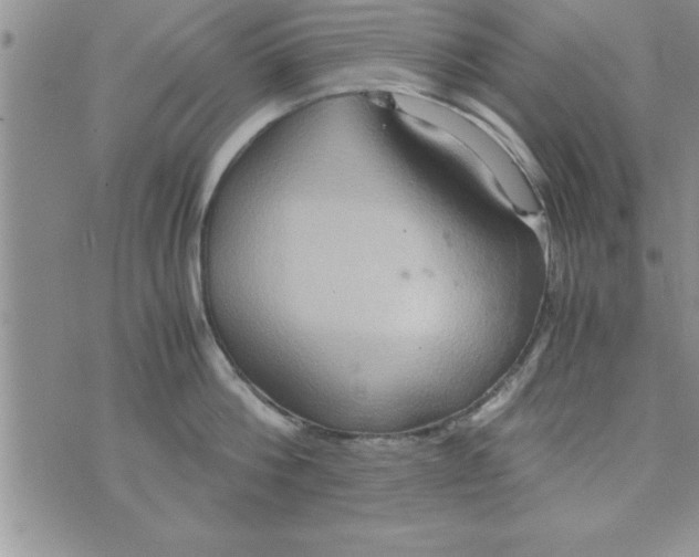 X0000075890812200610062051