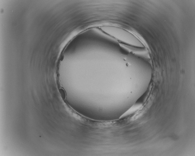 X0000075890813200610062051