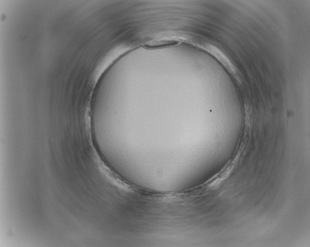 X0000075890814200610062051