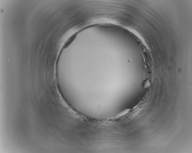 X0000075890815200610062051