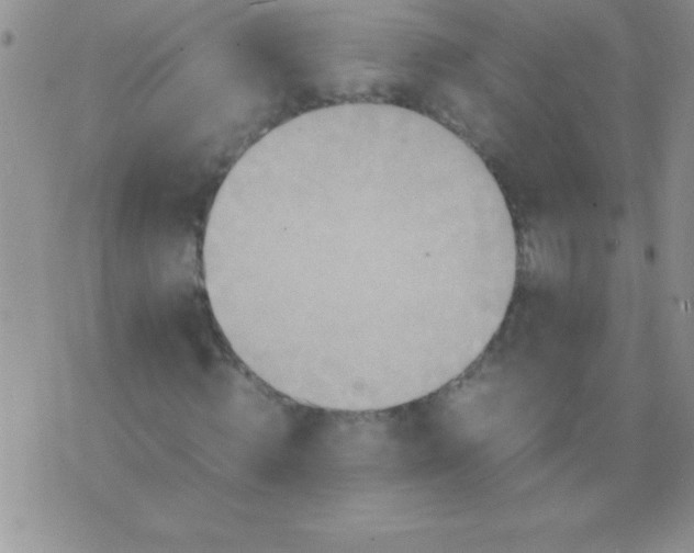 X0000075890820200610062050