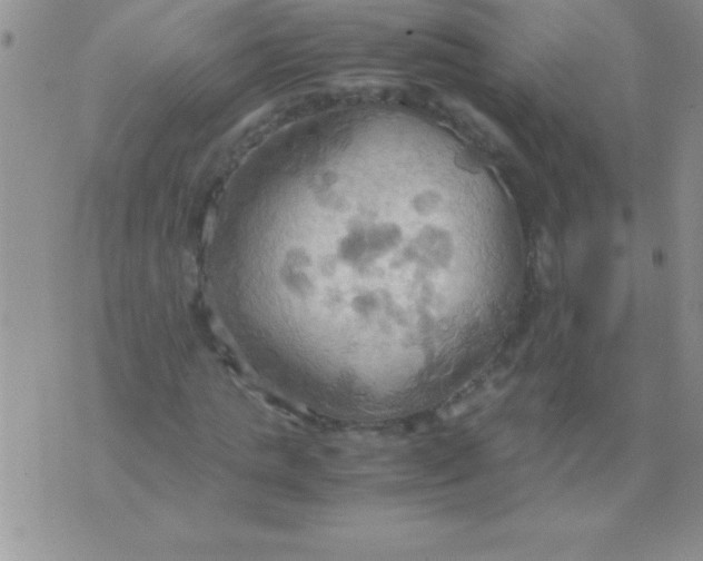 X0000075890821200610062050