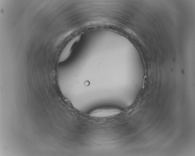 X0000075890822200610062050