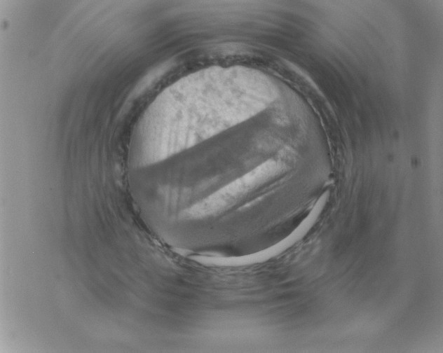 X0000075890823200610062050