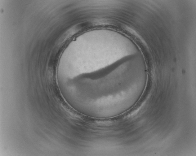 X0000075890825200610062050