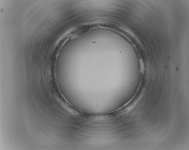 X0000075890826200610062050