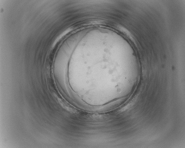 X0000075890827200610062050