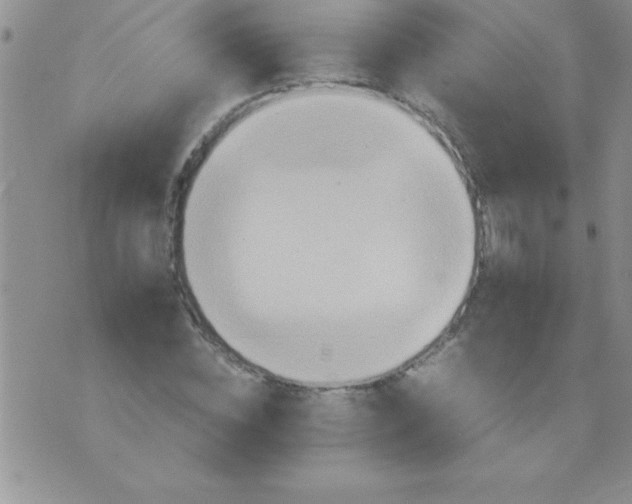 X0000075890828200610062050