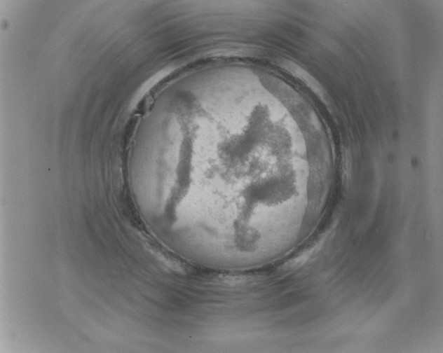 X0000075890829200610062050