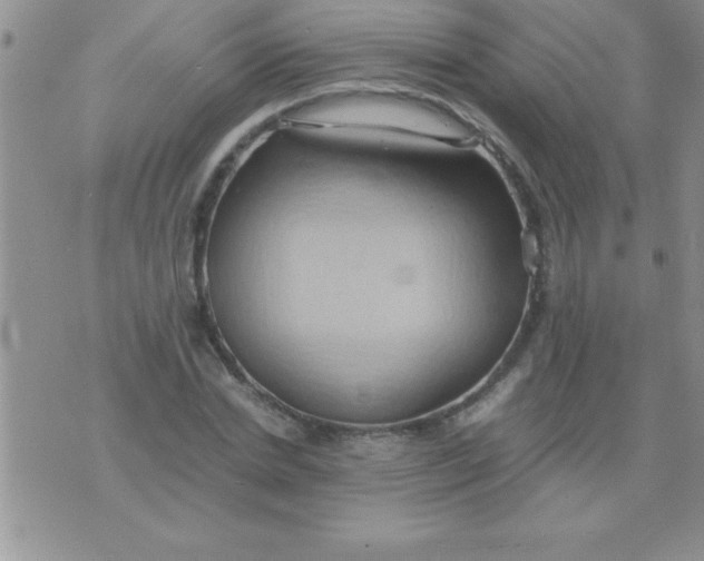 X0000075890830200610062051