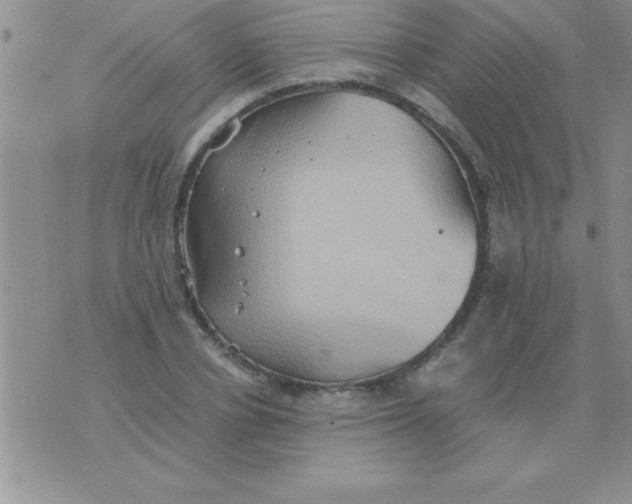 X0000075890834200610062051