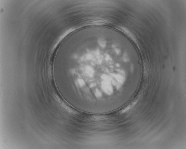 X0000075890835200610062051