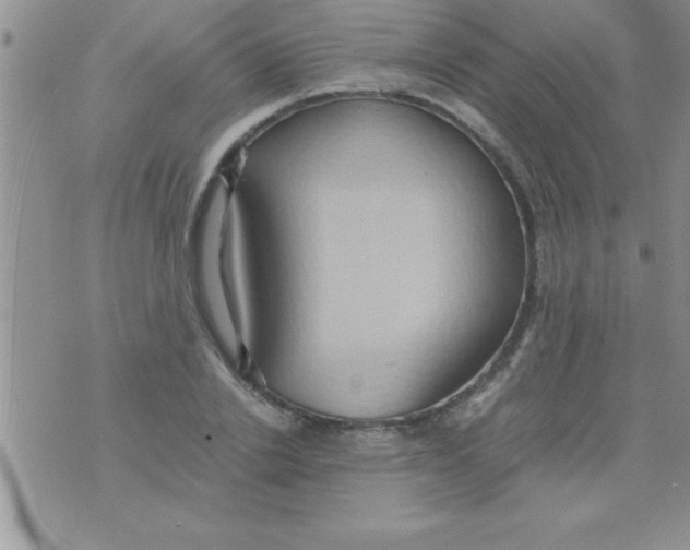 X0000075890838200610062051