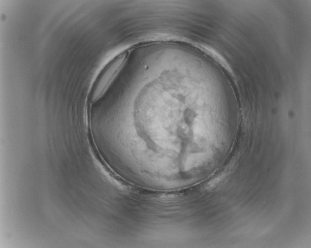 X0000075890839200610062051