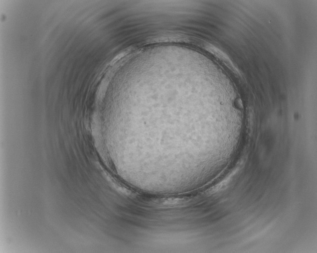 X0000075890841200610062051