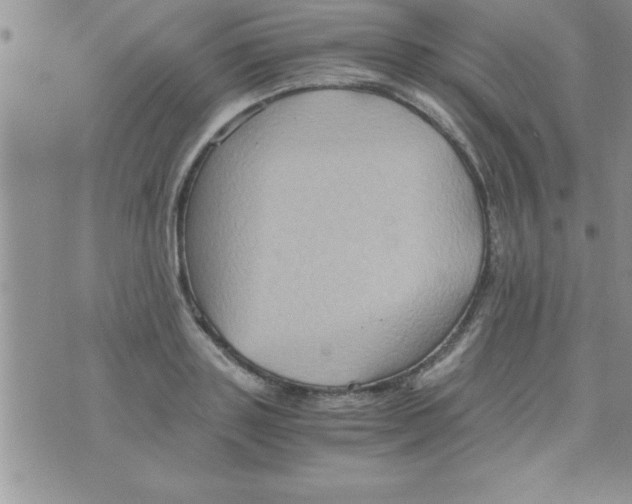 X0000075890843200610062051