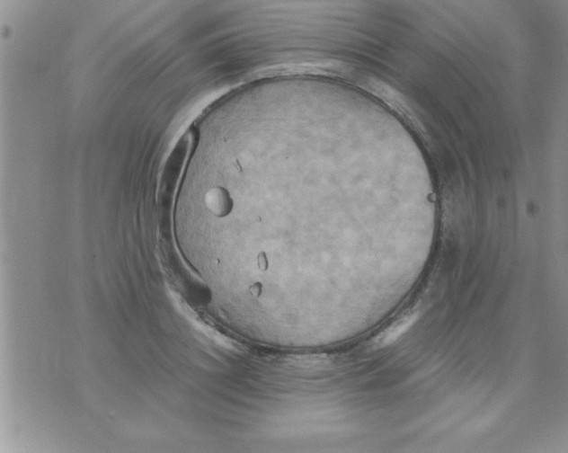 X0000075890844200610062051