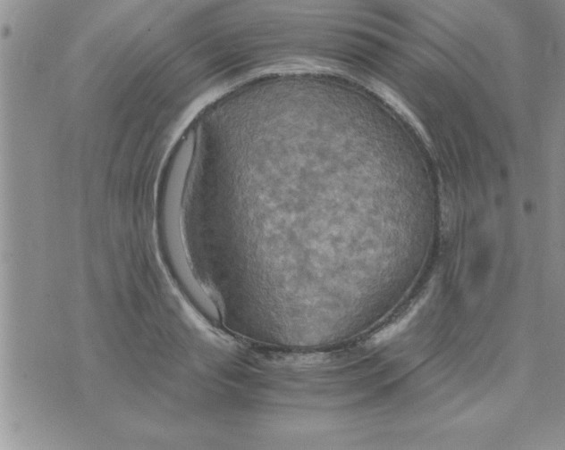 X0000075890845200610062051