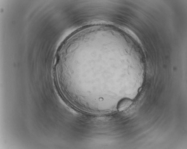 X0000075890847200610062051