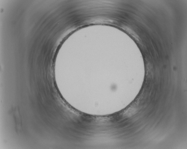 X0000075890848200610062051