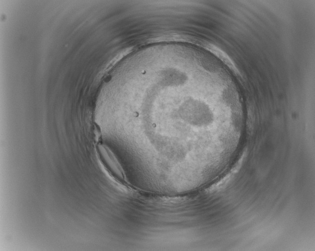 X0000075890849200610062051