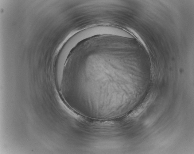 X0000075890851200610062051