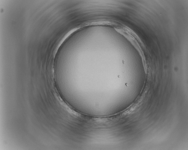 X0000075890852200610062051