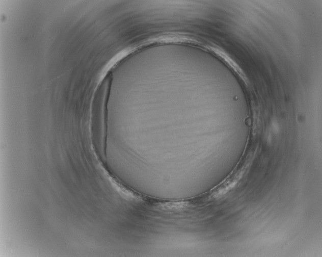 X0000075890853200610062051