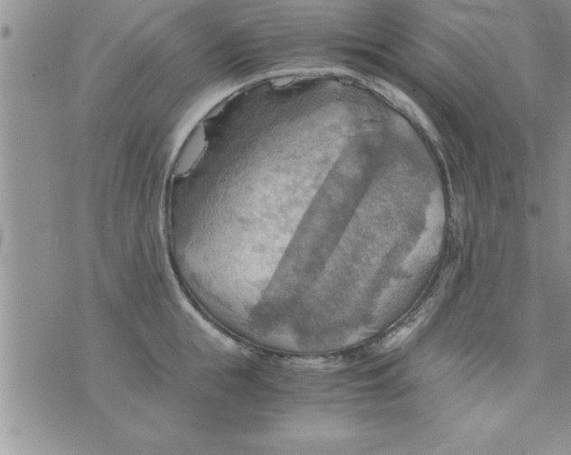 X0000075890855200610062051