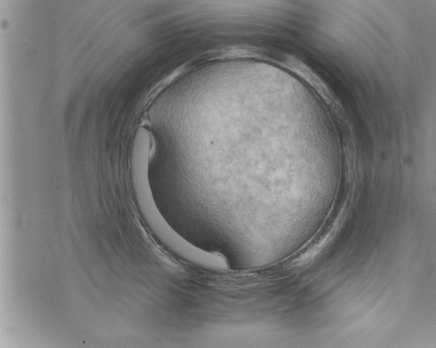 X0000075890857200610062051