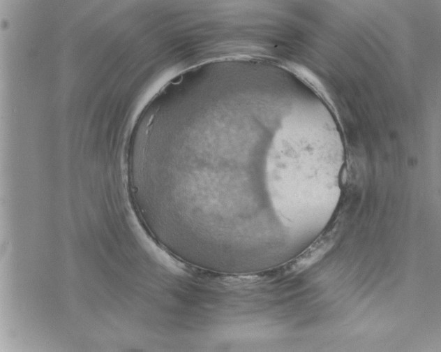 X0000075890859200610062051