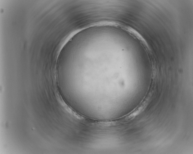 X0000075890860200610062051