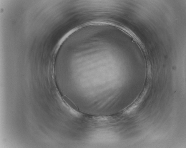 X0000075890862200610062051