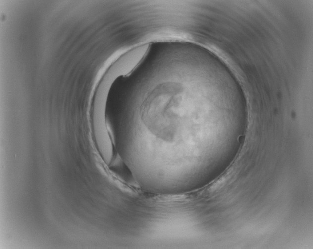 X0000075890864200610062051