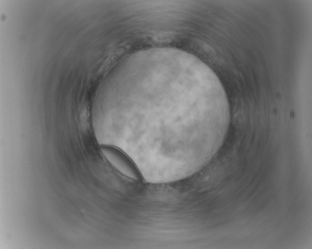 X0000075890866200610062050