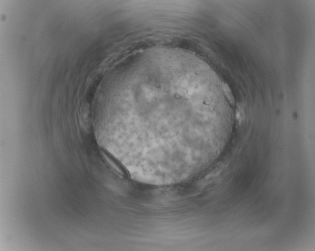 X0000075890867200610062050