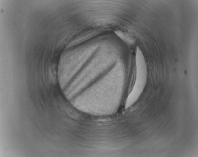 X0000075890868200610062050