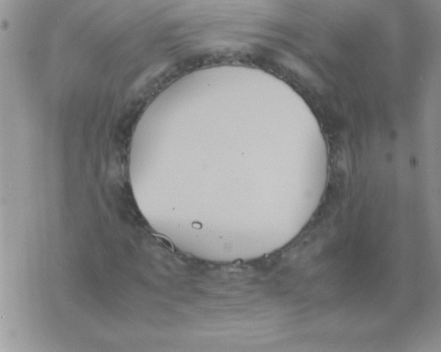 X0000075890869200610062050