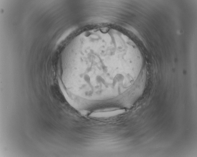 X0000075890871200610062050