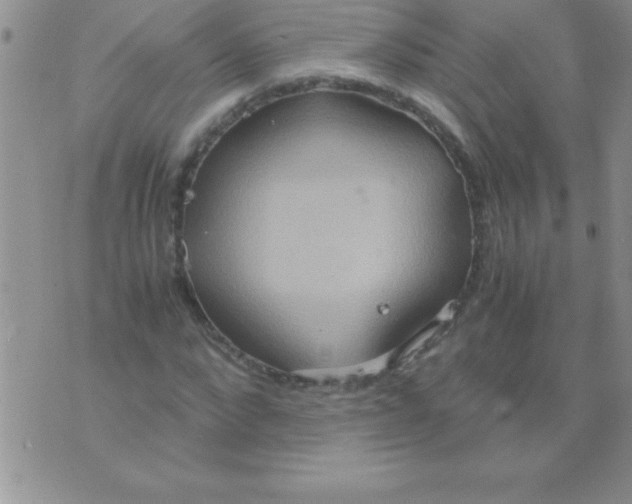 X0000075890872200610062050