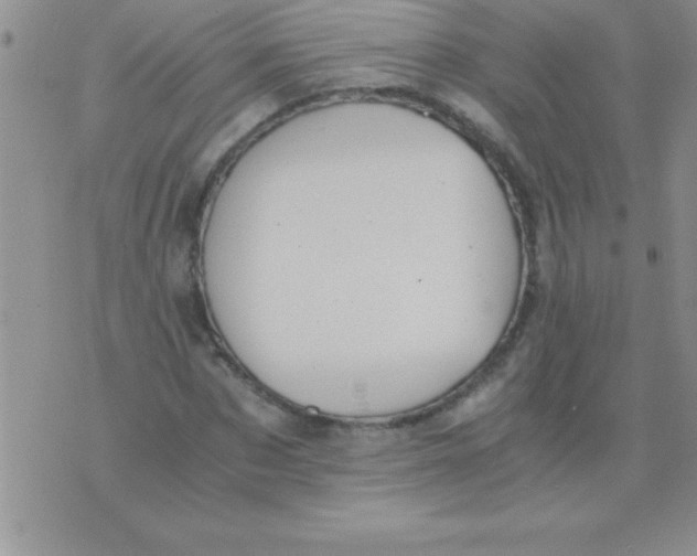 X0000075890873200610062050