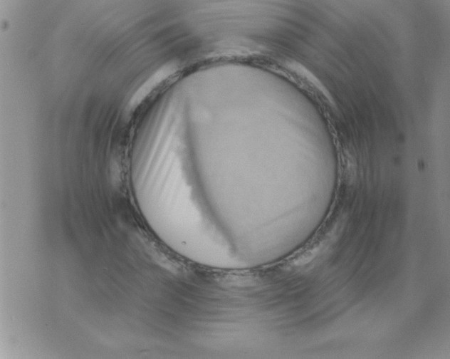 X0000075890874200610062050