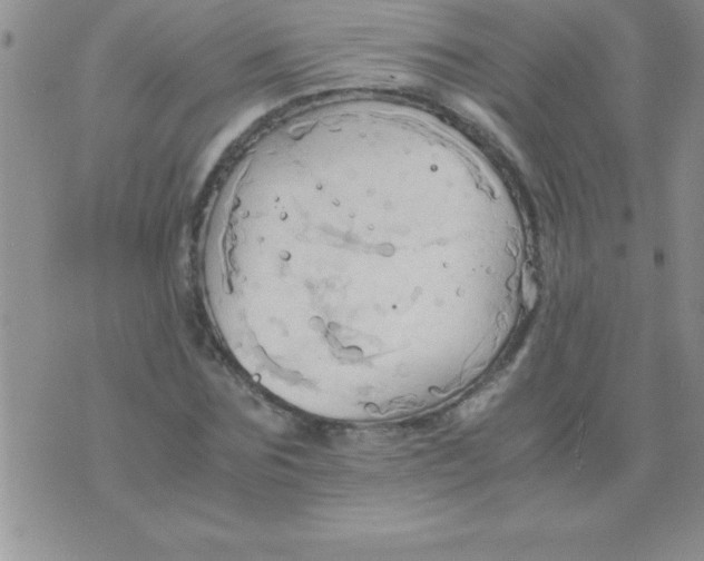 X0000075890875200610062050