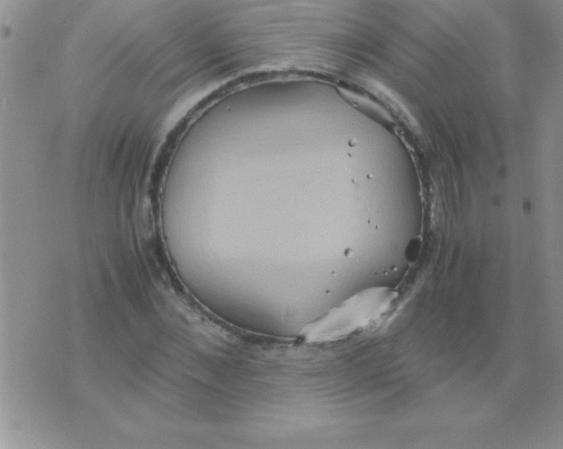 X0000075890876200610062050