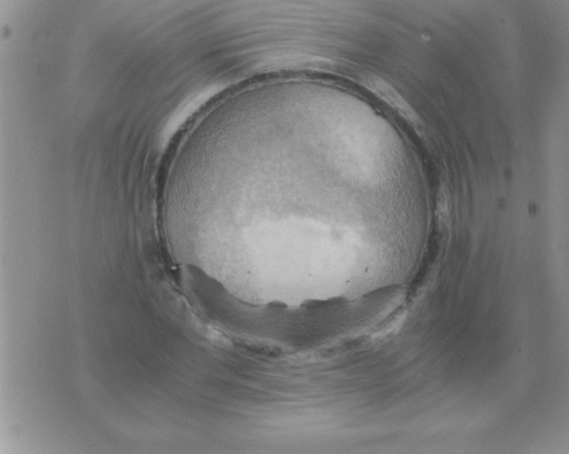 X0000075890877200610062050