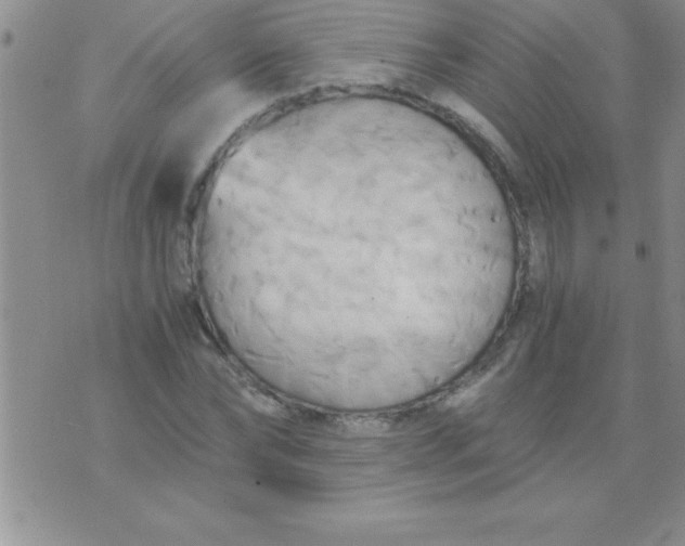 X0000075890878200610062050