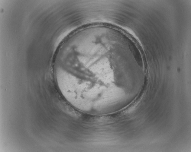 X0000075890879200610062050