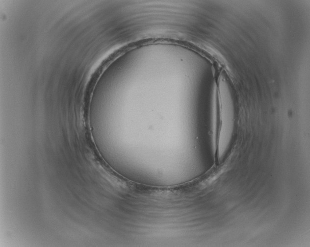 X0000075890880200610062050