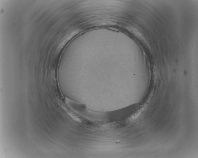 X0000075890881200610062050